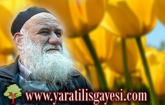Bilal Amcaya Veda.